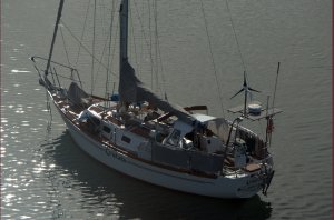 Cristata from the mast