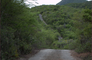 Steile weg in het Nationaal Park